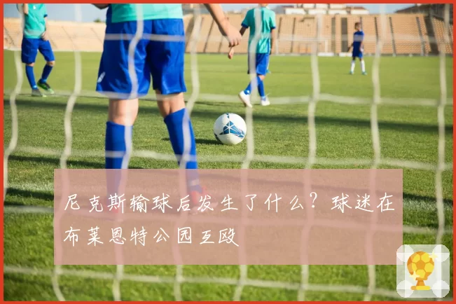 尼克斯输球后发生了什么?球迷在布莱恩特公园互殴